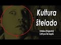 Kultura Ŝtelado