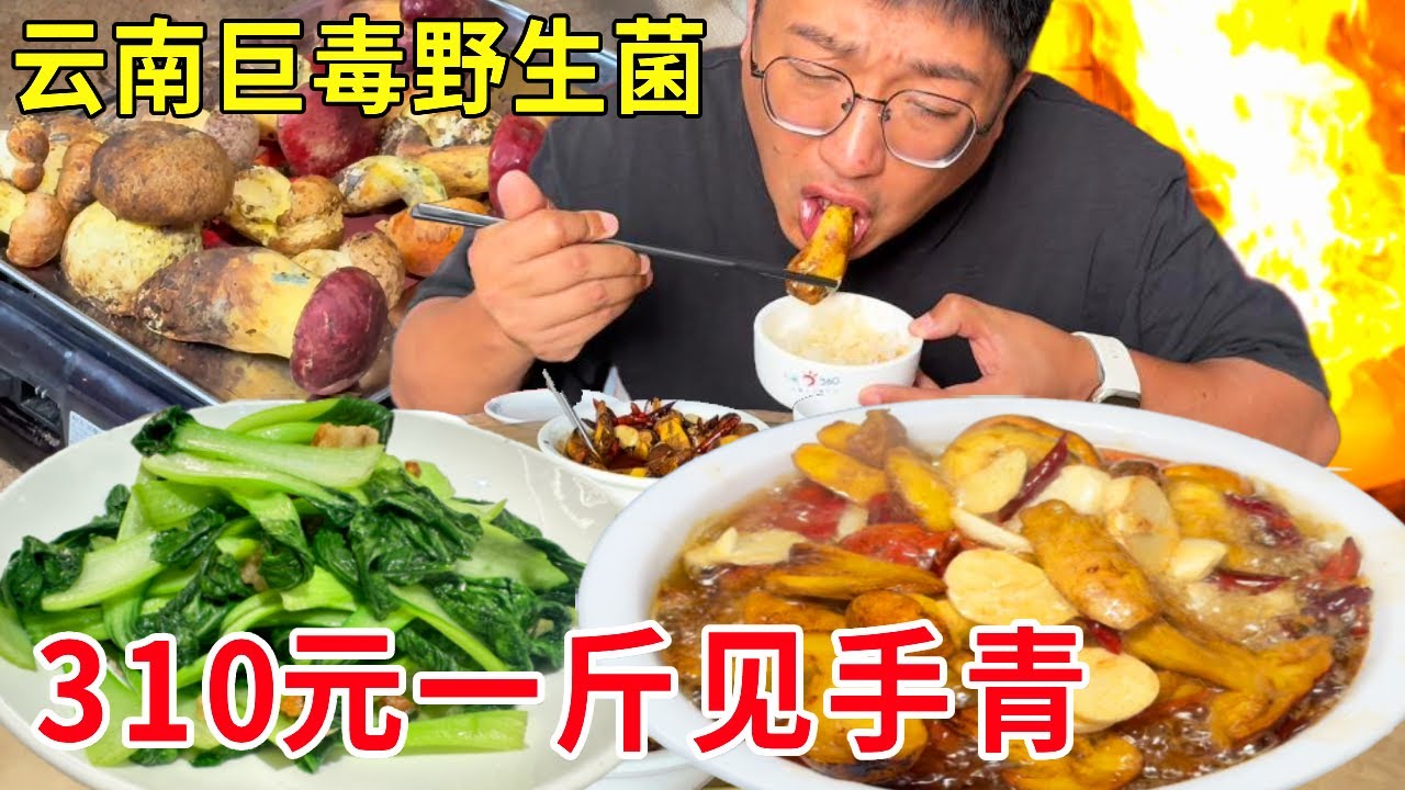云南红河大山里吃“巨毒”野生菌，见手青310元一斤，厚切油爆太生猛#麦总去哪吃