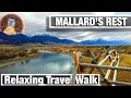 Nature Walks - Mallards Rest State Lands by Yellowstone River - Virtual Hiking Trail - City Walks 4K