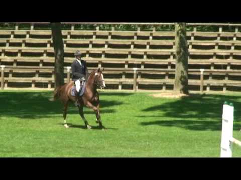 Vargas de Ste Hermelle- jumping stallion (sBs) by ...