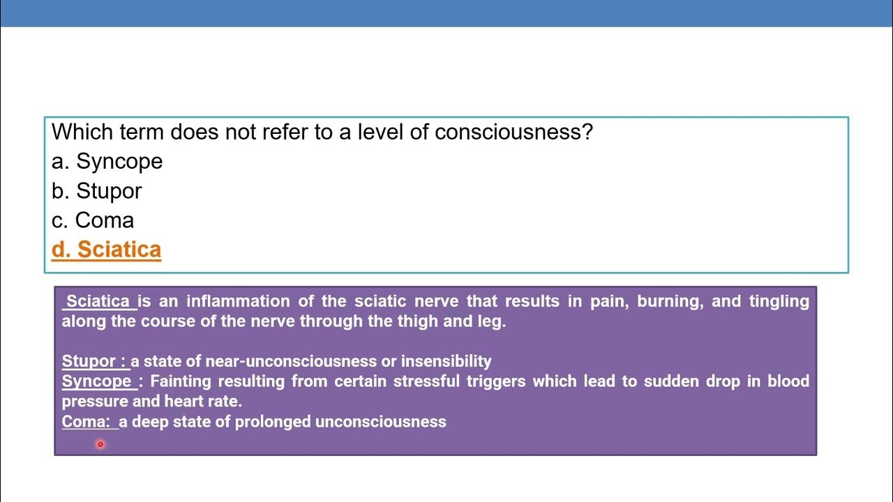 CPC mock questions from medical terminology Part 2 YouTube