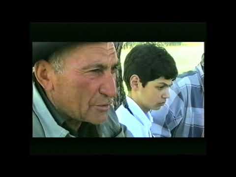 საქართველო არის ესე - უჯამაგირო მწყემსები