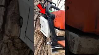 This Tree SWALLOWED a Chainsaw… But It Still Runs! 🌳⚙️💲