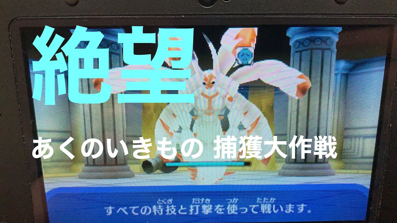 絶望 あくのいきもの捕獲しにいったら最悪の結果になった 電波人間のrpgフリー Youtube 絶望 あくのいきもの捕獲しにいったら最悪の結果になった 電波人間のrpgフリー Youtube