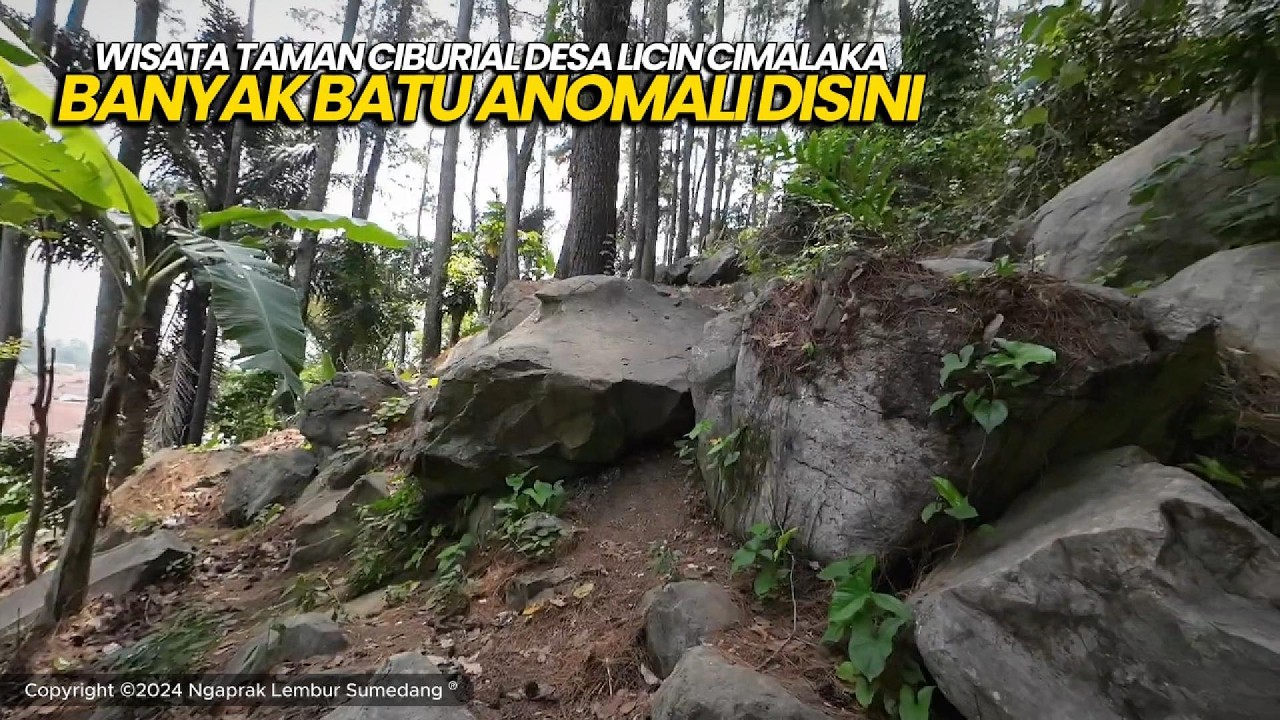 Lokasi menuju Ciburial Desa Licin Cimalaka Sumedang, Suasana Pedesaan Sunda Jawa Barat