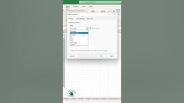 How to create a drop down list in Excel #excel #exceltips #tutorial #spreadsheets