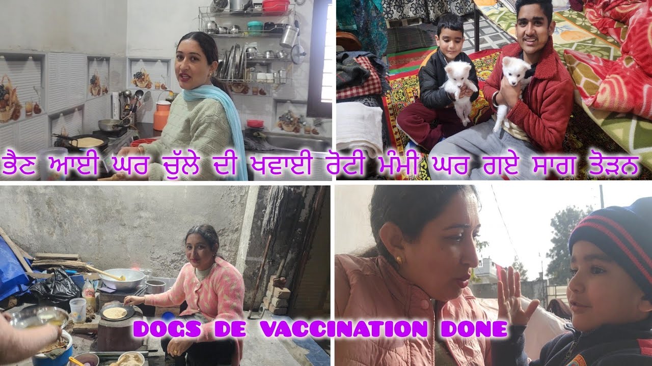 ਭੈਣ ਆਈ ਘਰ ਚੁੱਲੇ ਦੀ ਖਵਾਈ ਰੋਟੀ 😋😋ਮੰਮੀ ਘਰ ਗਏ ਸਾਗ ਤੋੜਨ 😱😱dogs 🐕 vaccination done 🐕