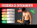 ¿Cómo saber si debo ENTRENAR más de 1 vez por semana cada músculo?