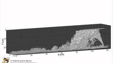 60 degree dense jet in stagnant shallow water, 3D configuration of flow by P. Roberts & O. Abessi