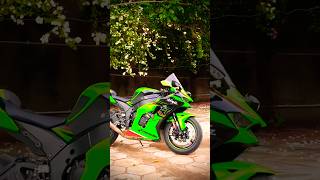 Zx10r Love ❤️‍🩹🫶🏻.. #Zx10r #love #superbike #youtubeshorts #viral #z900 #jhol #ytshorts #shorts #fyp