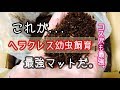 【Twitterで140名が答えた】ヘラクレス幼虫飼育最強マットを購入♪   【ヘラクレス幼虫飼育】   【昆虫マット】