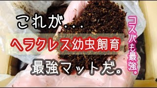 【Twitterで140名が答えた】ヘラクレス幼虫飼育最強マットを購入♪   【ヘラクレス幼虫飼育】   【昆虫マット】