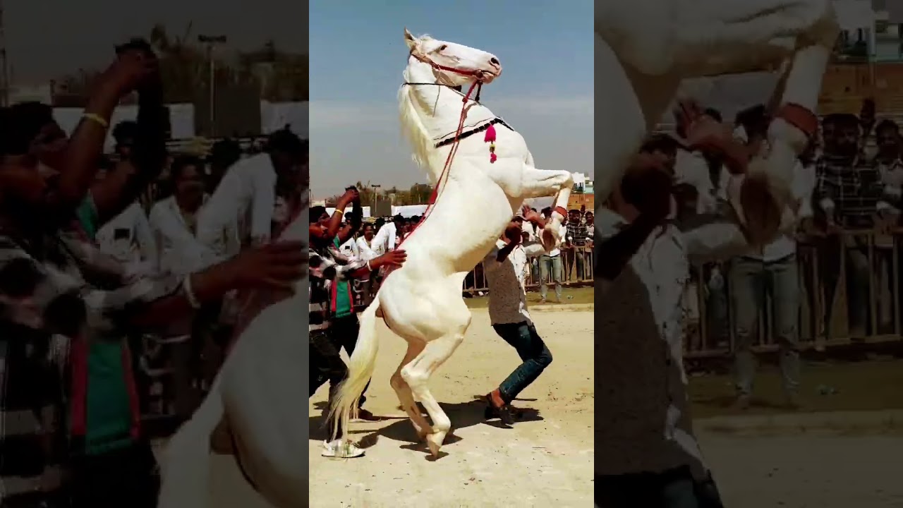 Vah vah kya dance hai 