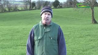 Michael Gowing - Measuring Grass