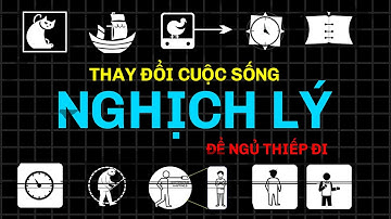 1 Giờ + Những Nghịch Lý Triết Học Xoắn Não Để Ngủ Thiếp Đi (P3) | Ngủ Cùng Tri Thức