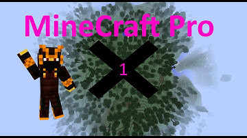 Minecraft Pro: One In The Chamber |1|
