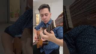 100 Pagodes de Viola em 100 Dias (21/100)