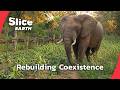 How Gorongosa National Park Brought Wildlife Back After Civil War | SLICE EARTH | FULL DOC