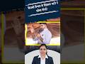 Barmer करंट हादसे पर भड़के Ravindra Singh Bhati ! FRT टीमों की जांच की मांग ! Rajasthan News