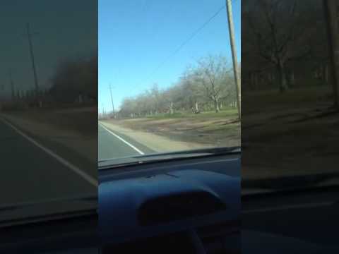 استاد امین الله سندول 