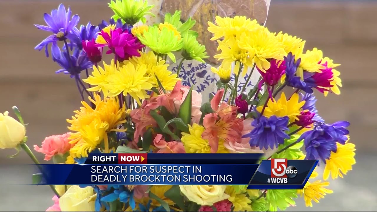 No arrests made in deadly Brockton shooting - YouTube