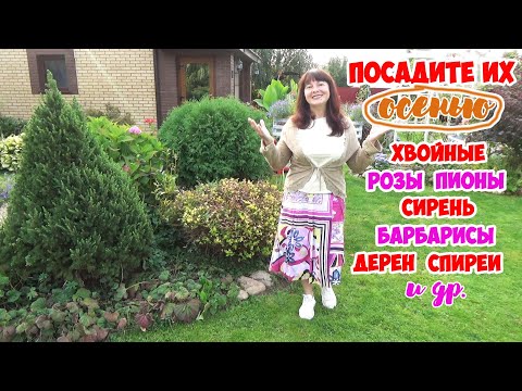 КАКИЕ растения и ПОЧЕМУ надо САЖАТЬ ОСЕНЬЮ под зиму? 15 растений, любящих ОСЕННЮЮ ПОСАДКУ!