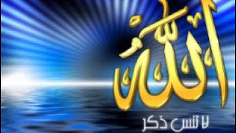 سورة الجن  القارئ عامر عبد الحكيم