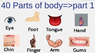 40 Basic Parts of Body || Daily use English || listen and practice #learnenglish #bodyparts.