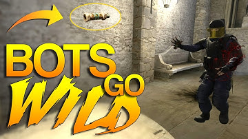 CS:GO - When BOTS go Wild!