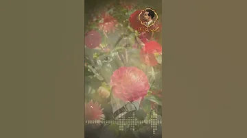 دا لكل لون معني محمد فوزي الزمن الجميل طرب روائع موسيقى اغاني ليالي الفن 