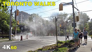 Toronto S Hottest Day So Far Midtown Ravine Park Walk May 18 2021 