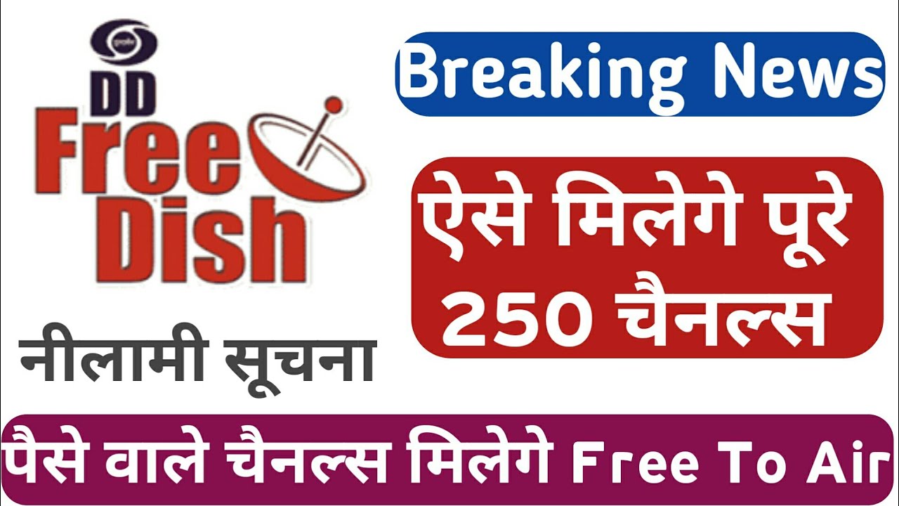 Dd free dish E Auction New Channels Coming soon on dd free dish dd dth dth free dish YouTube
