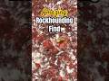 Stunning Brecciated Red Jasper | Olympic Mountain Find 🪨🔥