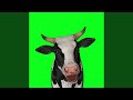 MoooIIAI MoooIIAI