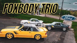 $1 Million dollar SALEEN FOXBOY MUSTANG COLLECTION! Drive and Tour