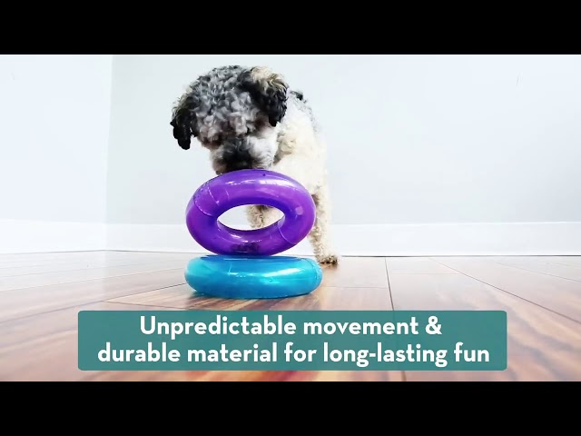 Kong Treat Spiral Ring Dog Toy - Large