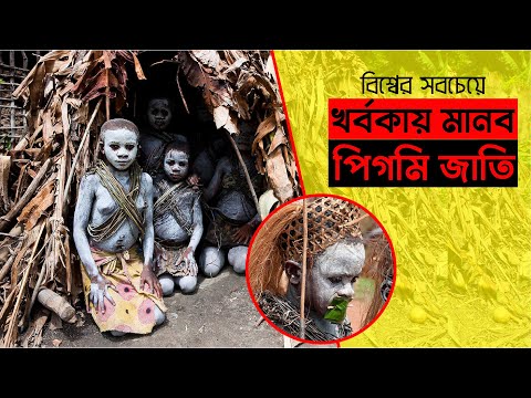 ভিডিও: The Nenets জনগণ: সংজ্ঞা, বৈশিষ্ট্য, প্রধান কার্যকলাপ, পোশাক, ফটো, ঐতিহাসিক ঐতিহ্য এবং সমৃদ্ধ সংস্কৃতি