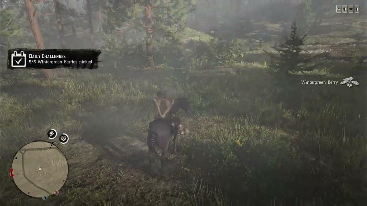 Wintergreen Berry Location Daily Challenges RDR2 RDO YouTube