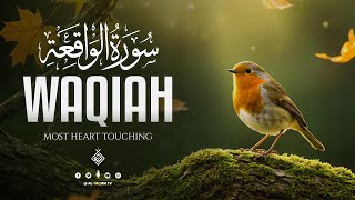 Download Lagu Surah Al Waqiah سورة الواقعة | Find Hope and Comfort Through Sacred Words​ | Al-Taqwa TV MP3
