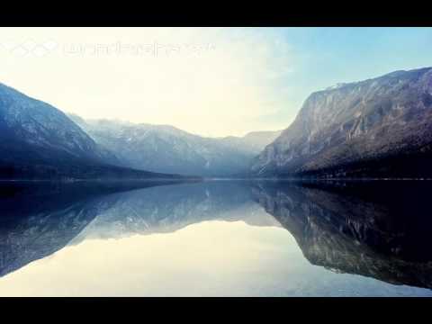 Chronic Flakes — CHRONIC FLAKES - OMMADAWN