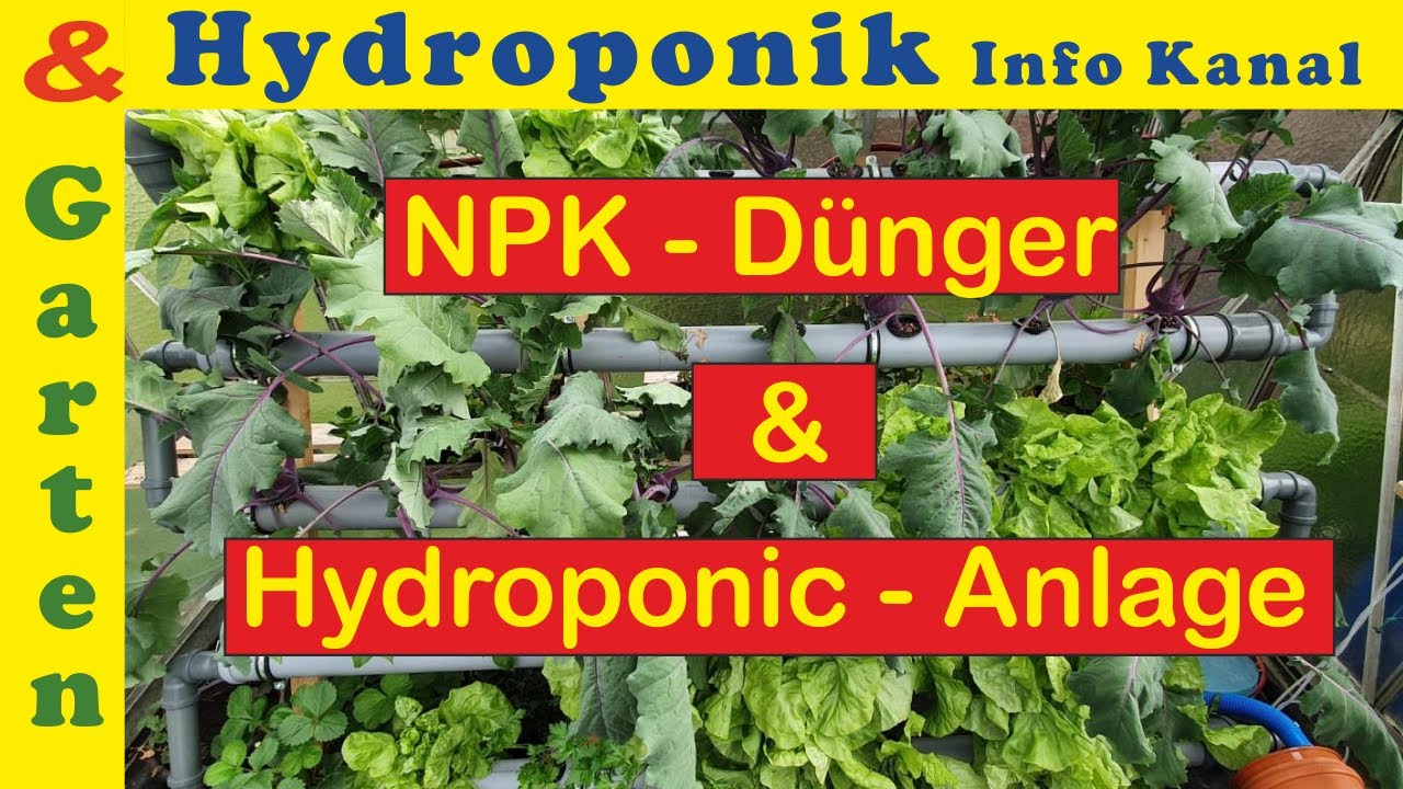 NPK Dünger in Hydroponik Anlage einsetzen und dosieren. Gemüse düngen mit Nährstoffdünger.