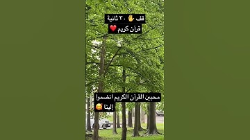 قرآن كريم #القرآن_الكريم #آية_الكرسي #اكسبلور