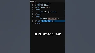 Insert Image In HTML Html Image Tag Html 