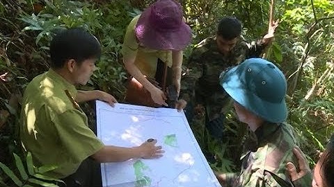 Phát huy vai trò kiểm lâm địa bàn trong công tác quản lý, bảo vệ rừng