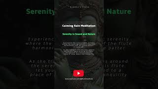 Calming Rain Meditation | Serenity in Sound and Nature