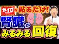 【腎臓回復の救世主】20分カイロをあそこに貼るだけで腎臓がみるみる回復する！最新の研究でわかった「知らないと後悔する裏技」