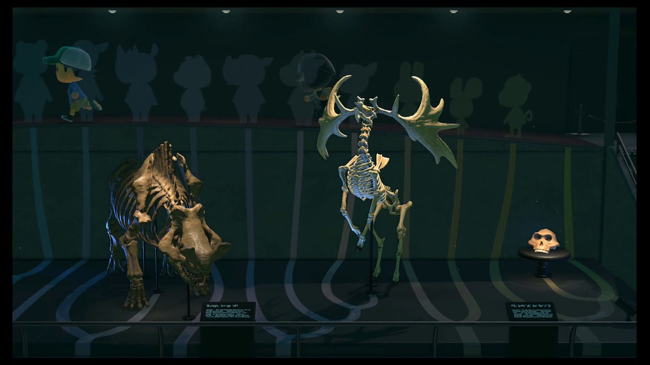 Survivor: Animal Crossing ft. @jenniferlambert3254