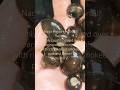 Fiery Naga Periwinkle snail recipe #traditional