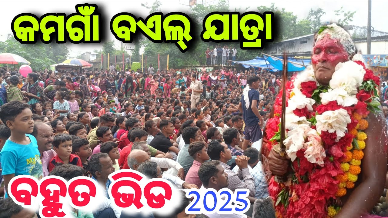 କମଗାଁ ବଏଲ୍ ଯାତ୍ରାରେ ଭକ୍ତଙ୍କ ବହୁତ ଭିଡ 2025 kamgaon bail yatra #bargarh_bhatli 