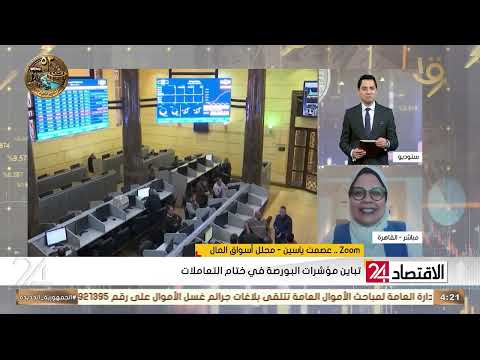 "The stock market gets sick but doesn't die," Esmat Yassin explains the chances of recovery in th...